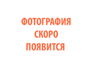 Фото 52 - Плазменный резак  TECH CS 50.